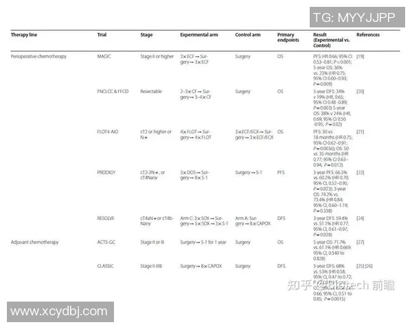 广州篮球队近期状态分析与未来发展展望探讨